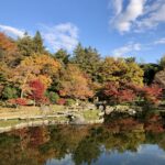 校外学習：昭和記念公園（2025年11月25日）