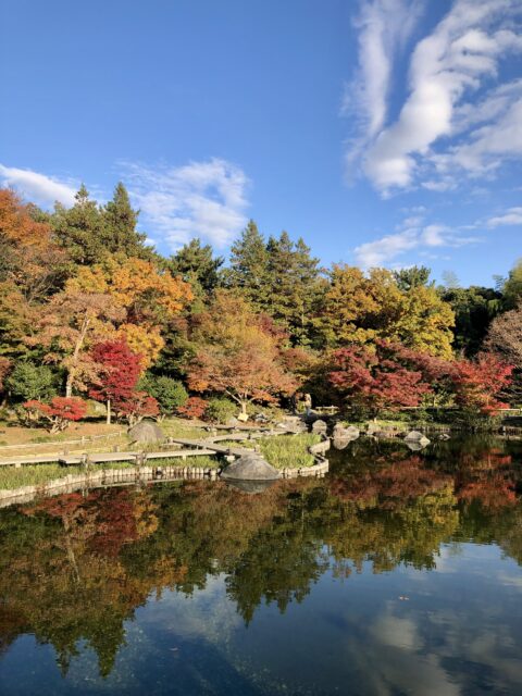 校外学習：昭和記念公園（2025年11月25日）